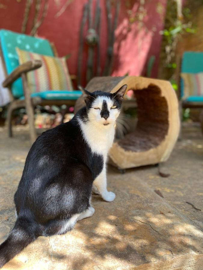 Cumelen Villa Jijoca de Jericoacoara Esterno foto