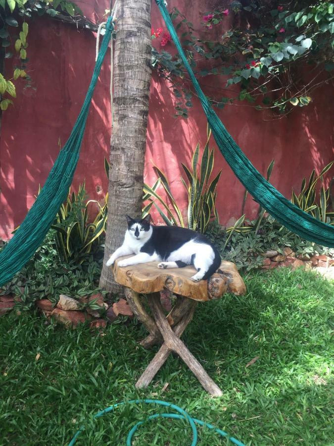 Cumelen Villa Jijoca de Jericoacoara Esterno foto